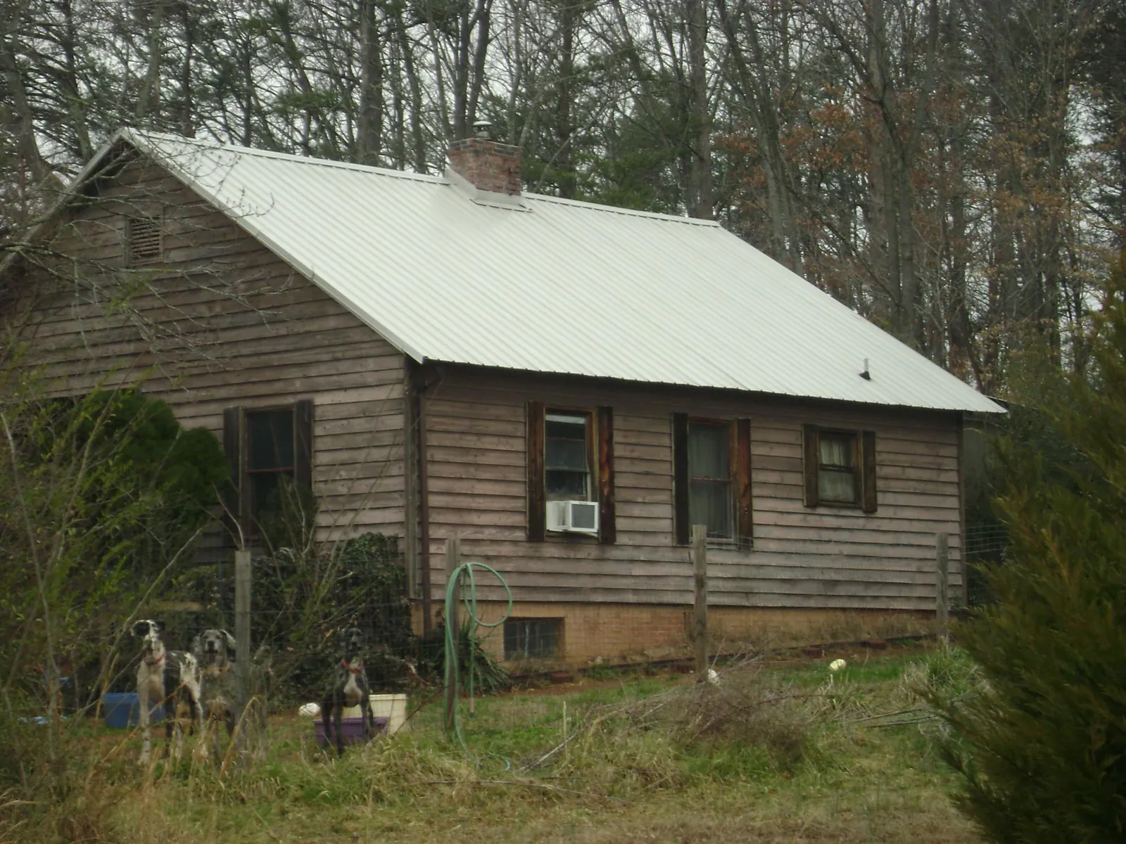 White metal roof on an old wood sided farmhouse, from a Metal Roof Installation job in Carleton
